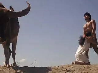 شوهر همسرش را به تخت بست و به سکس لوله ای الاغ برهنه سیلی زد