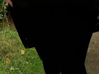 سه لزبین زیبا در سکس در فضای باز حال اشتیاق کامل روی مبل